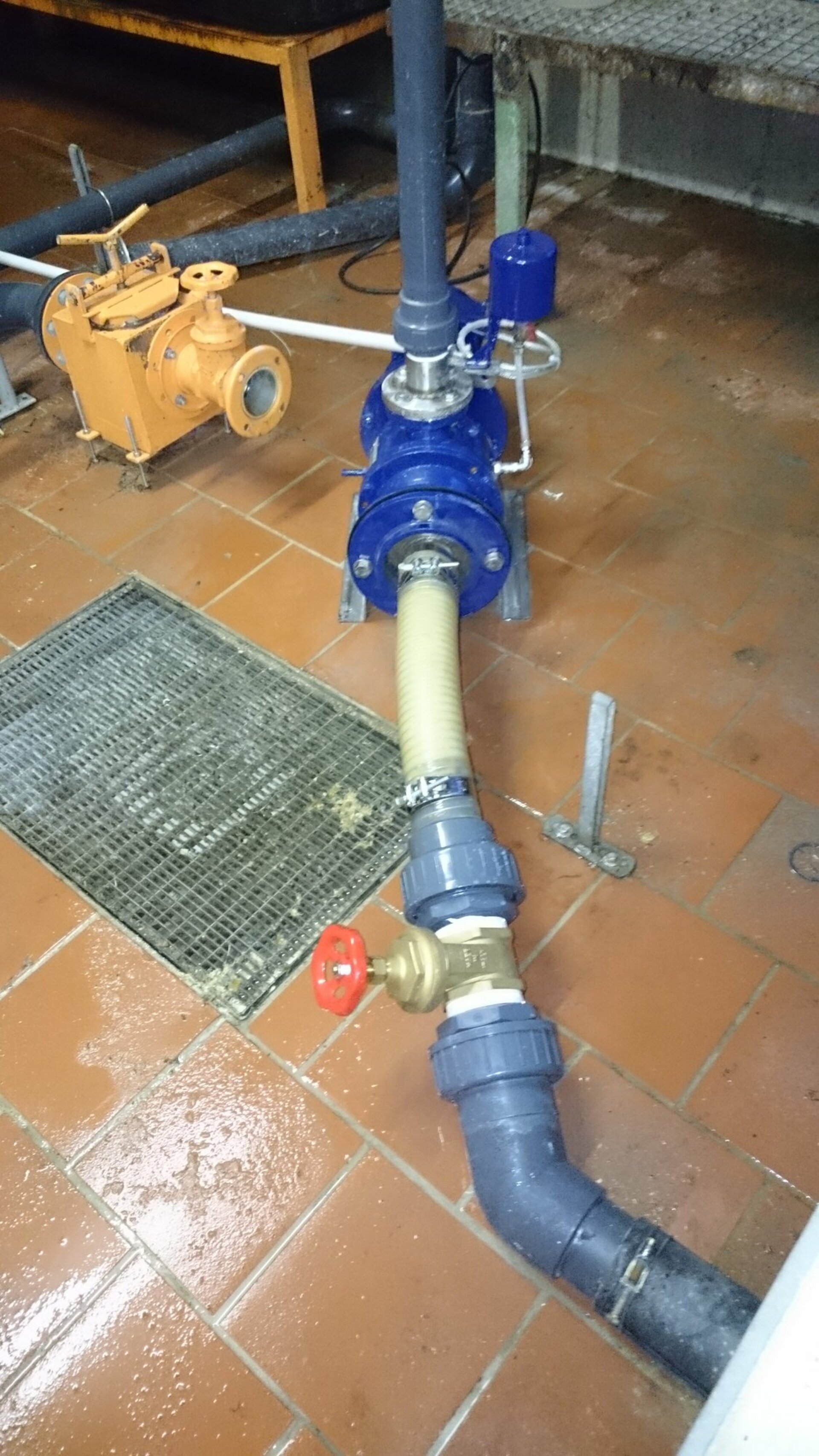 Entry 71 Image 5